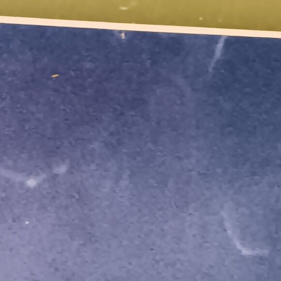 VTG Barbara Mock Sunflowers Print Matted Framed Blue Yellow Black & White Checks - Picture 15 of 15